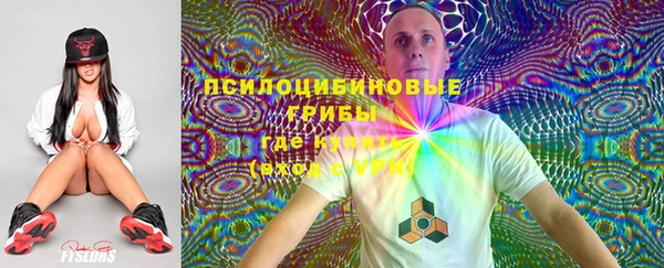 ешки Арсеньев