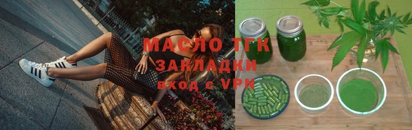 гашик Пестово