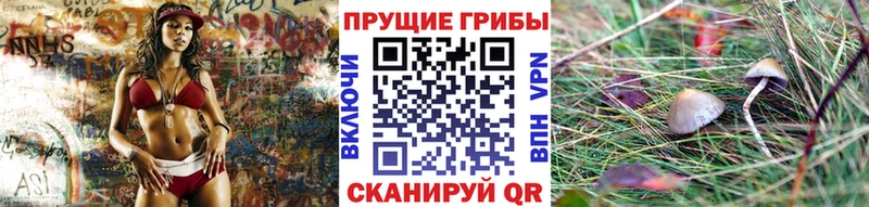 закладки  Покачи  Псилоцибиновые грибы Cubensis 
