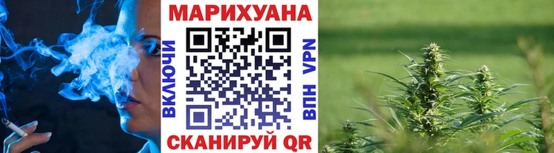 МАРИХУАНА сатива  Покачи 